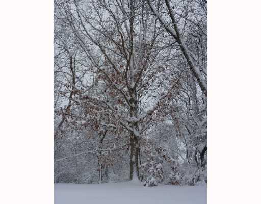 787 Lindsay Road Carnegie, PA 15106 - Photo 14 of 15 Exterior Back. ENCHANTING FOREST?, NO ITS OUR BACK YARD IN WINTER STORM OF 2010
