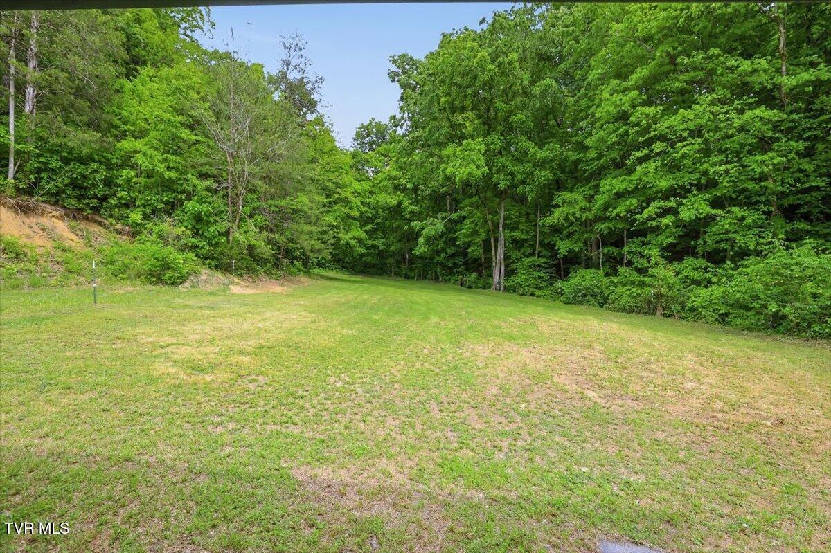 3427 Bill Douglas Road Newport, TN 37821 - Photo 10 of 33 11-3427_Bill_Douglas_rd_032