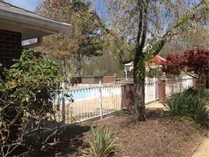 a view of a yard with plants and trees
