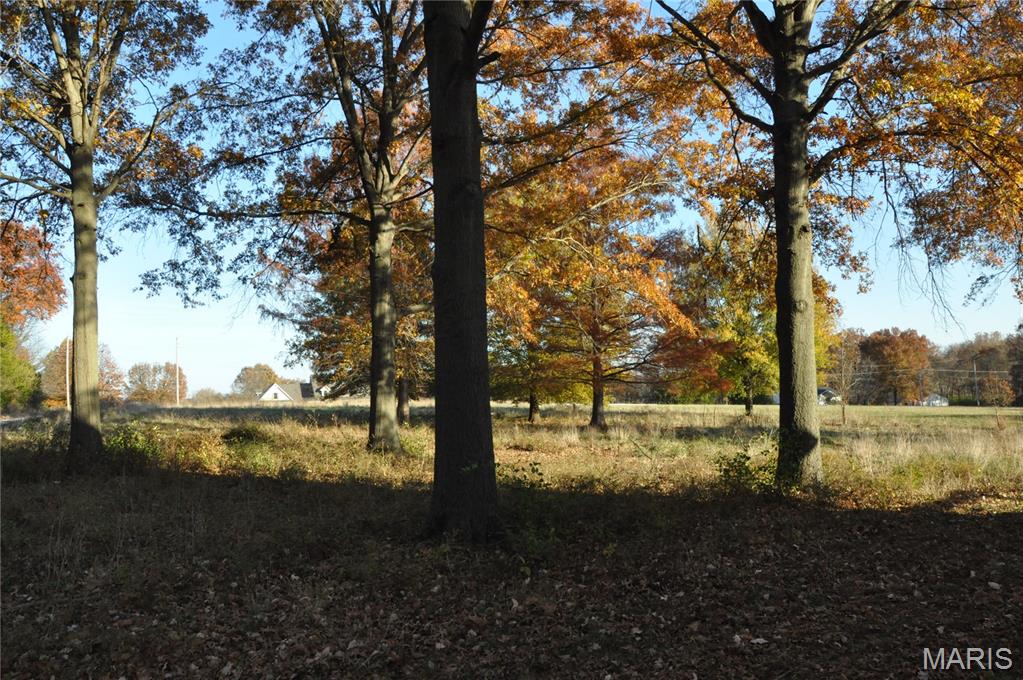 341 Himmel Road Moscow Mills, MO 63362 - Photo 27 of 27