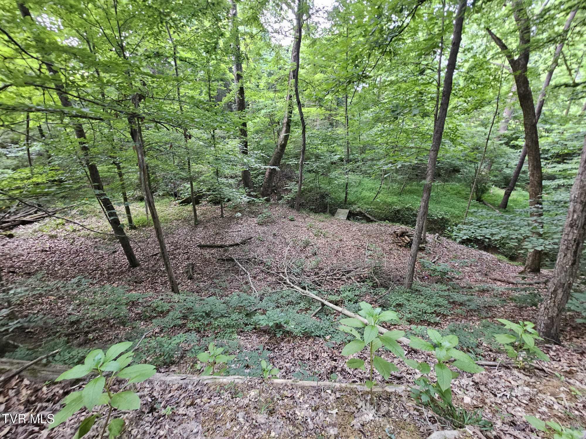 2264 Devault Bridge Road Piney Flats, TN 37686 - Photo 20 of 29 caa0906b-c44a-47c2-a504-42b02d239935