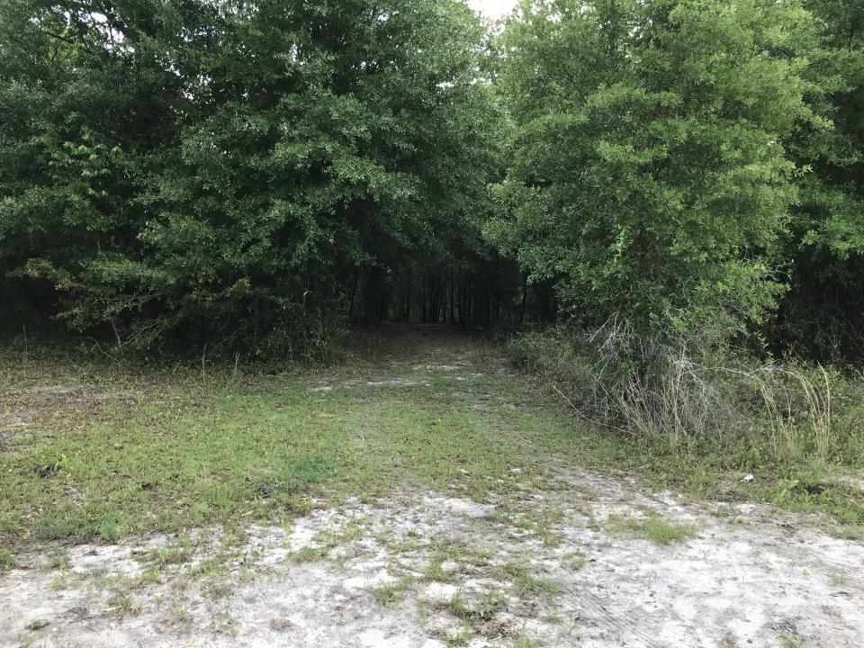 0 Northeast Co Road, Unit 255 Lee, FL 32059 - Photo 11 of 16 Gallery Image 11