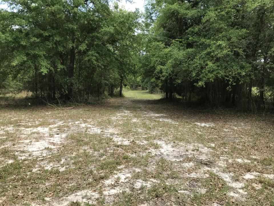 0 Northeast Co Road, Unit 255 Lee, FL 32059 - Photo 12 of 16 Gallery Image 12