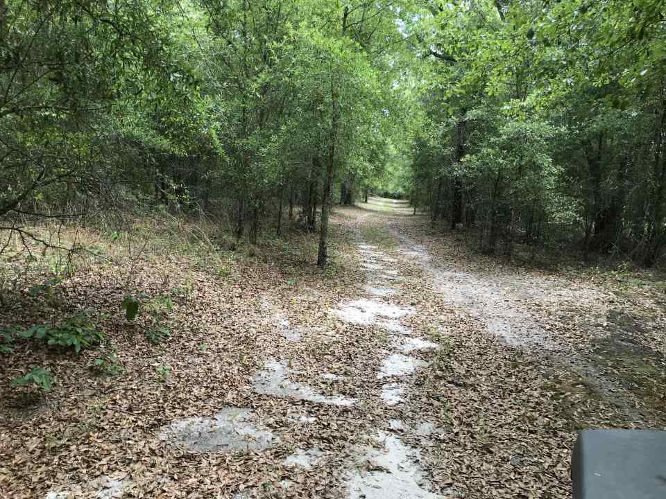 0 Northeast Co Road, Unit 255 Lee, FL 32059 - Photo 13 of 16 Gallery Image 13