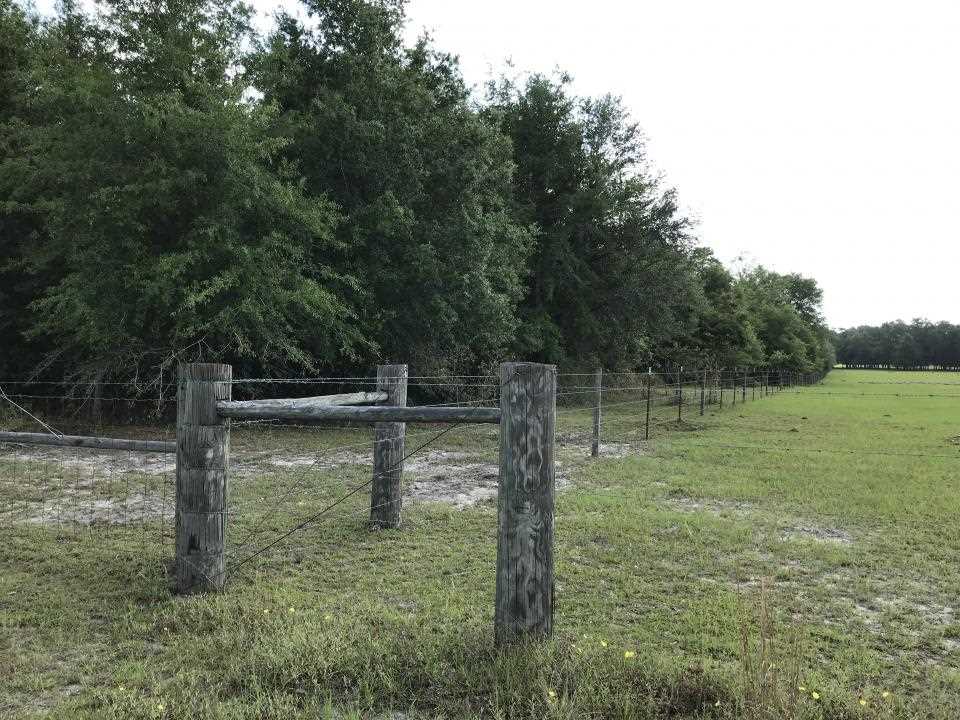 0 Northeast Co Road, Unit 255 Lee, FL 32059 - Photo 14 of 16 Gallery Image 14