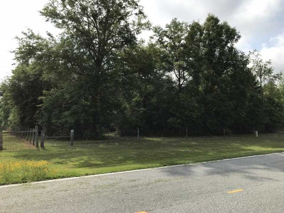 0 Northeast Co Road, Unit 255 Lee, FL 32059 - Photo 2 of 16 Gallery Image 2