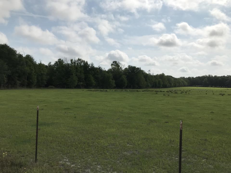 0 Northeast Co Road, Unit 255 Lee, FL 32059 - Photo 8 of 16 Gallery Image 8