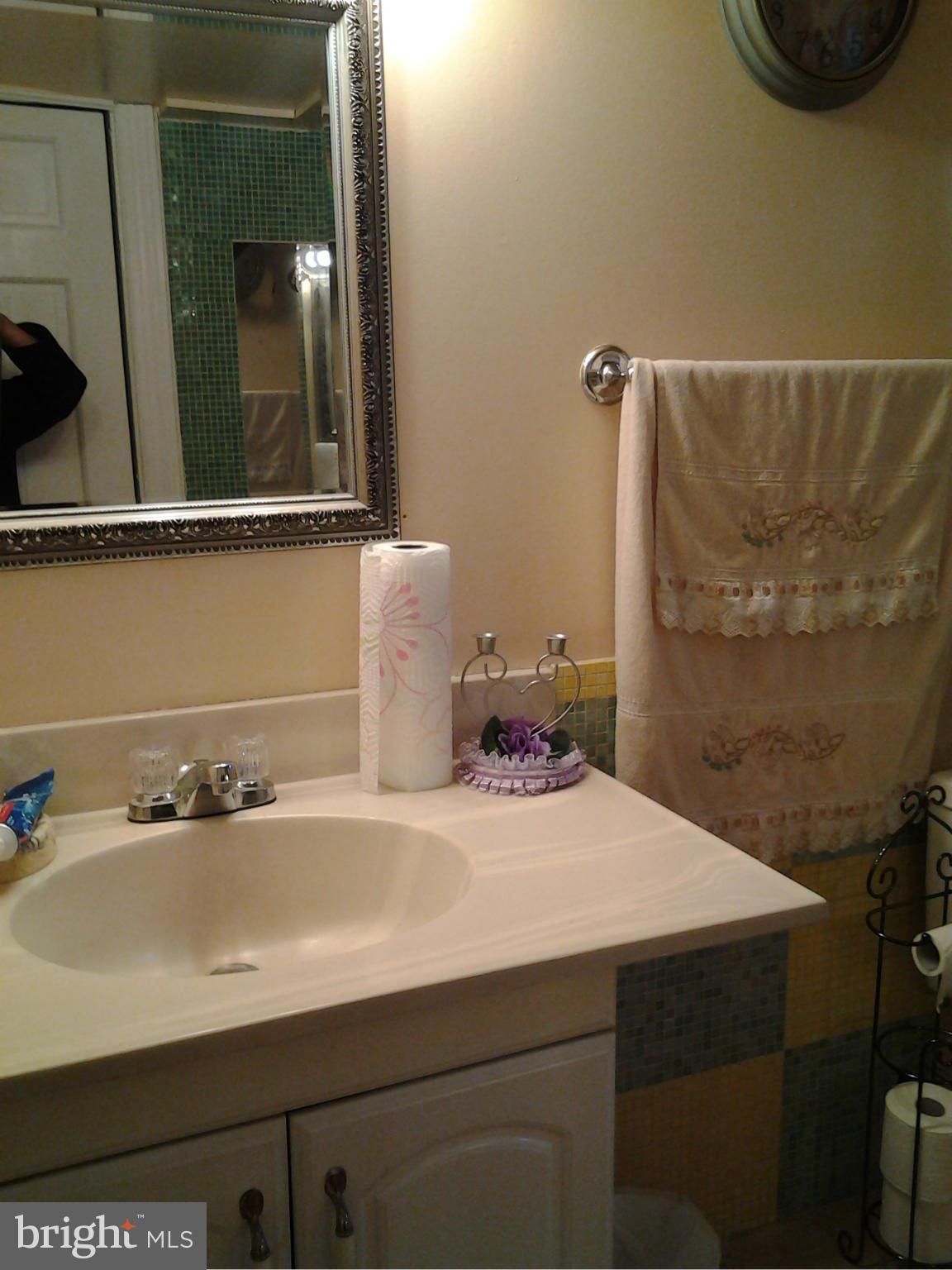 6948 Decatur Place Hyattsville, MD 20784 - Photo 29 of 30 Bath