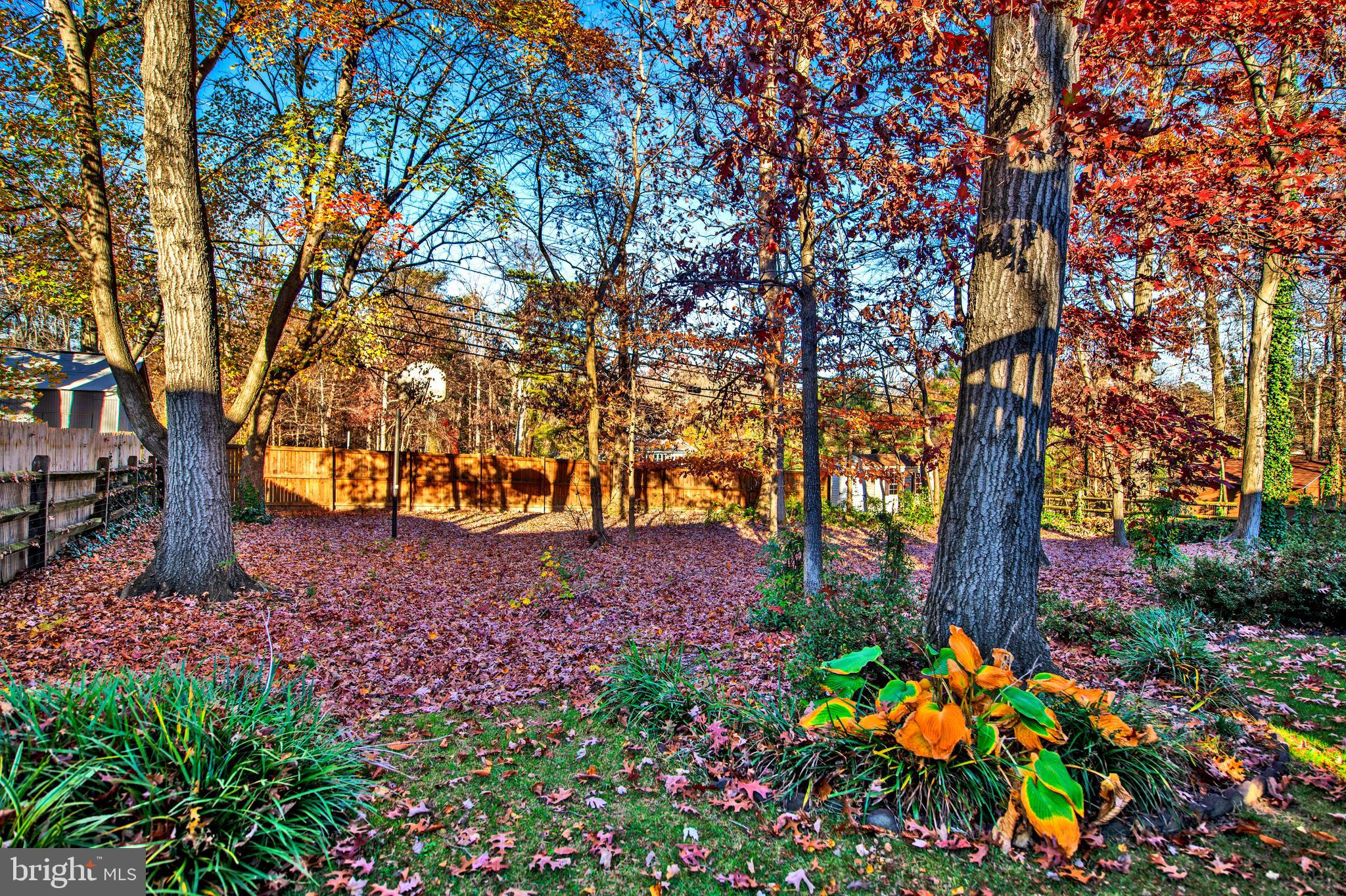 4542 Ambermill Road Nottingham, MD 21236 - Photo 36 of 37 Backyard
