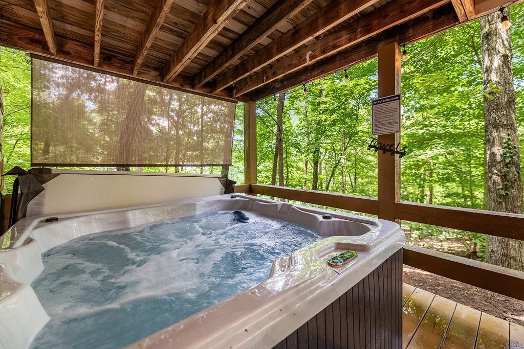 349 Fox Run Drive Blue Ridge, GA 30513 - Photo 28 of 31 Gallery Image 28