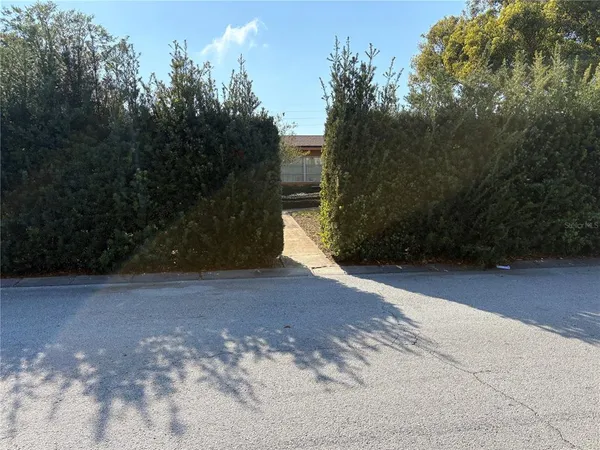 a view of a backyard of the house