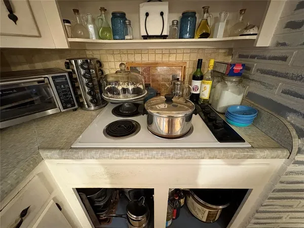 a close up of a potted plant in a room