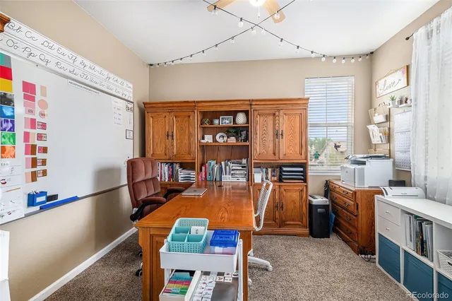 a room with furniture a rug and a window