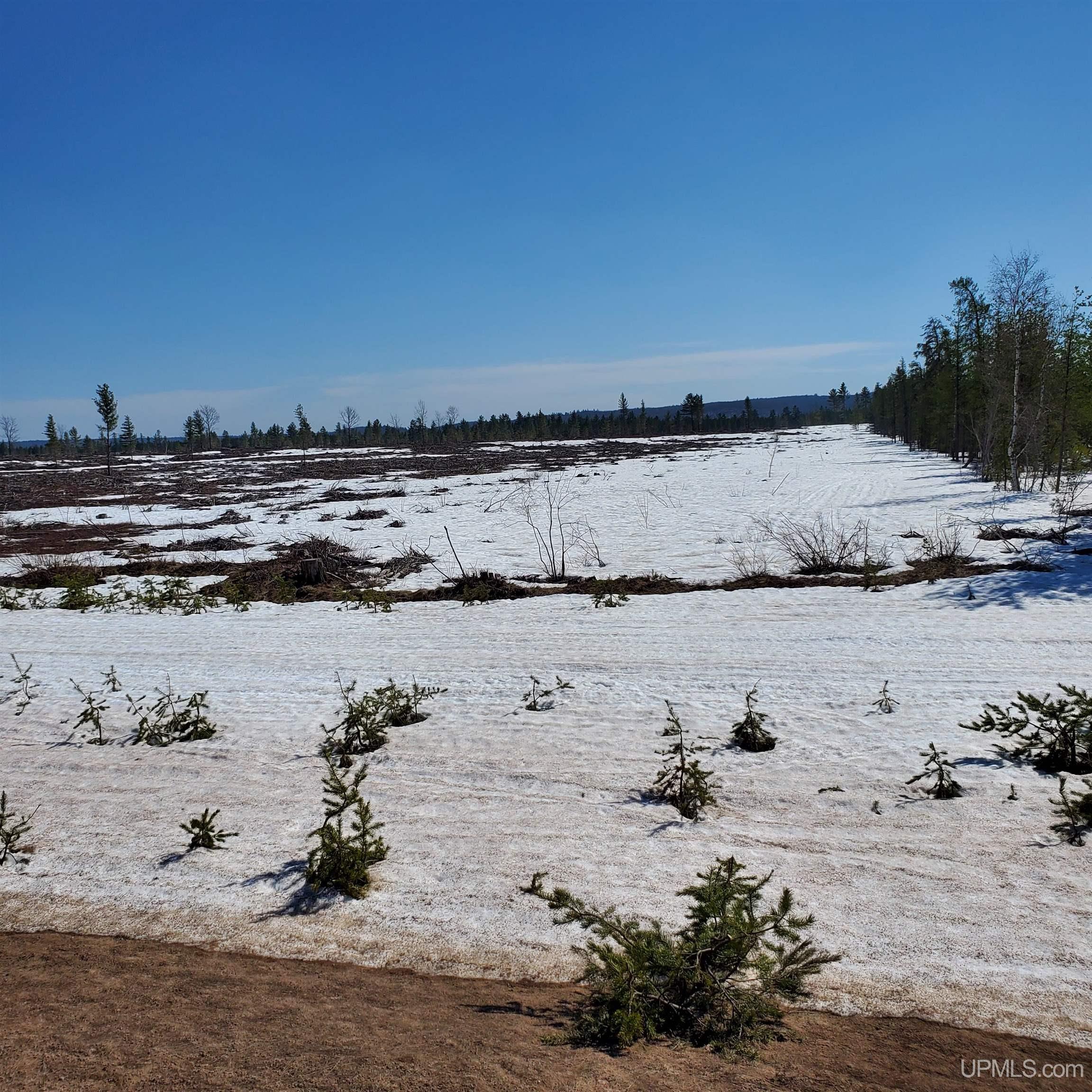 240-acres Co Rd Aaa Road Big Bay, MI 49808 - Photo 24 of 25