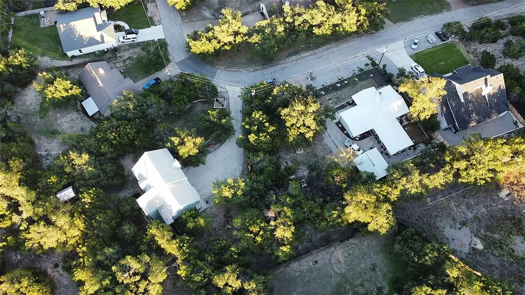 618 Galston Spicewood, TX 78669 - Photo 12 of 14 a picture of flowers and flowers in a garden