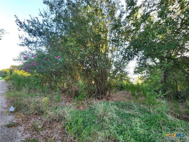 $44,900 | 612 South Criswell Street, Mart, TX 76664