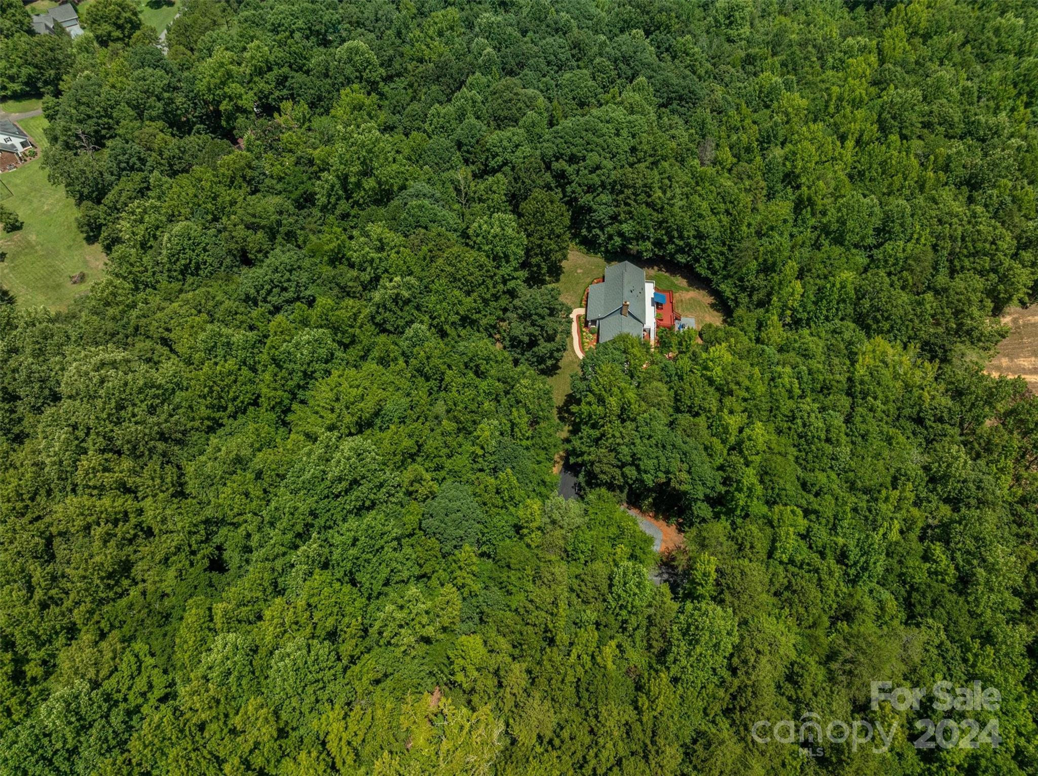 459 Patrick Road Gastonia, NC 28056 - Photo 4 of 39 a view of a lush green forest