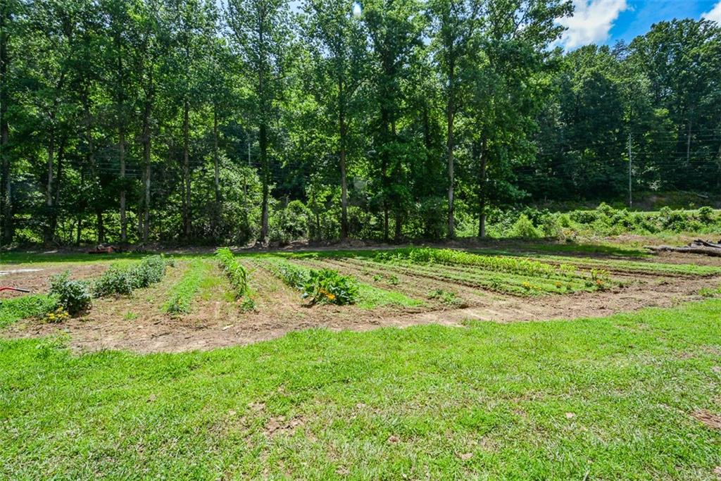 3518 Old Burnt Mountain Road Jasper, GA 30143 - Photo 8 of 45