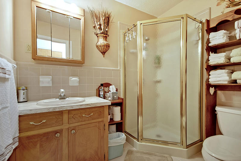 206 Grouse Road Summerville, SC 29485 - Photo 22 of 28 Secondary bathroom with step-in shower