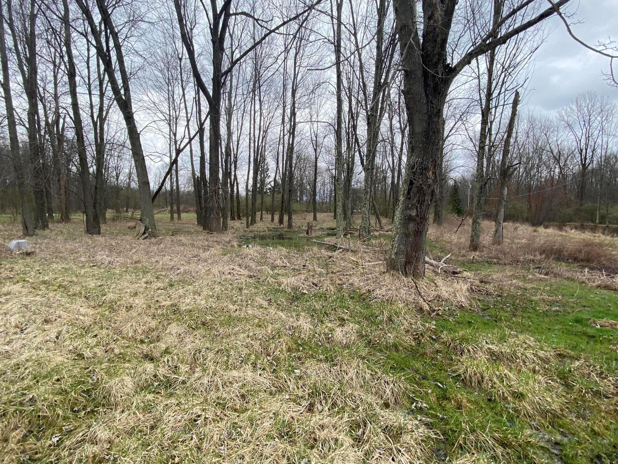 3490 Dixon Road Southwest Pataskala, OH 43062 - Photo 10 of 12 IMG_3488