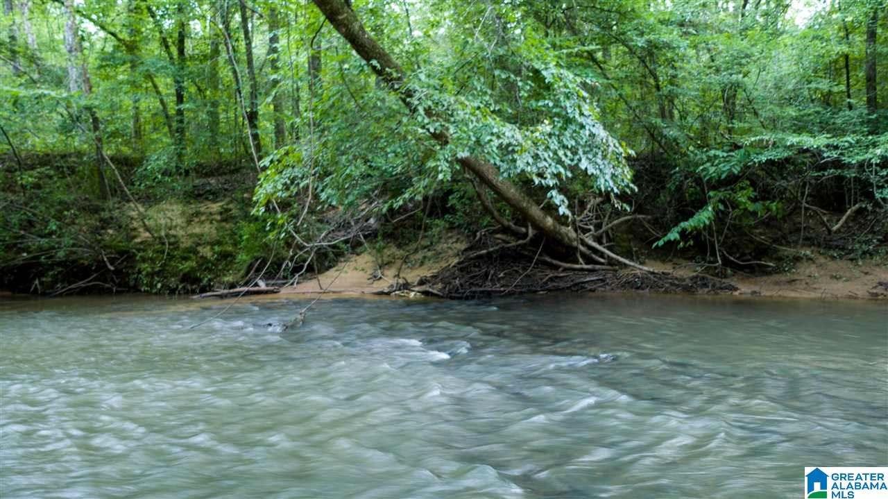 180 Gibson Road, Unit 76 / ACRES OFF GIBSON R Columbiana, AL 35051 - Photo 39 of 50