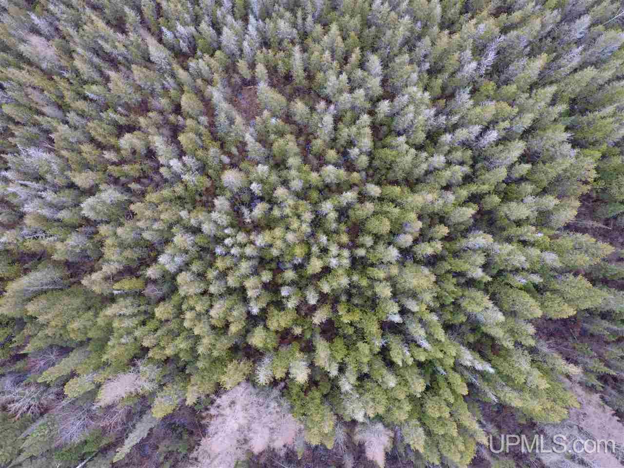 32066 County 426 M.5 Road Cornell, MI 49818 - Photo 36 of 36