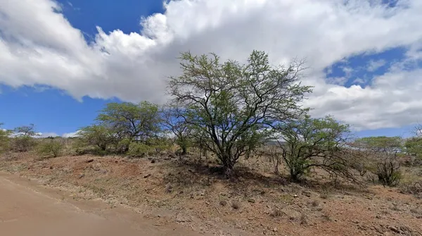 a backyard of a house