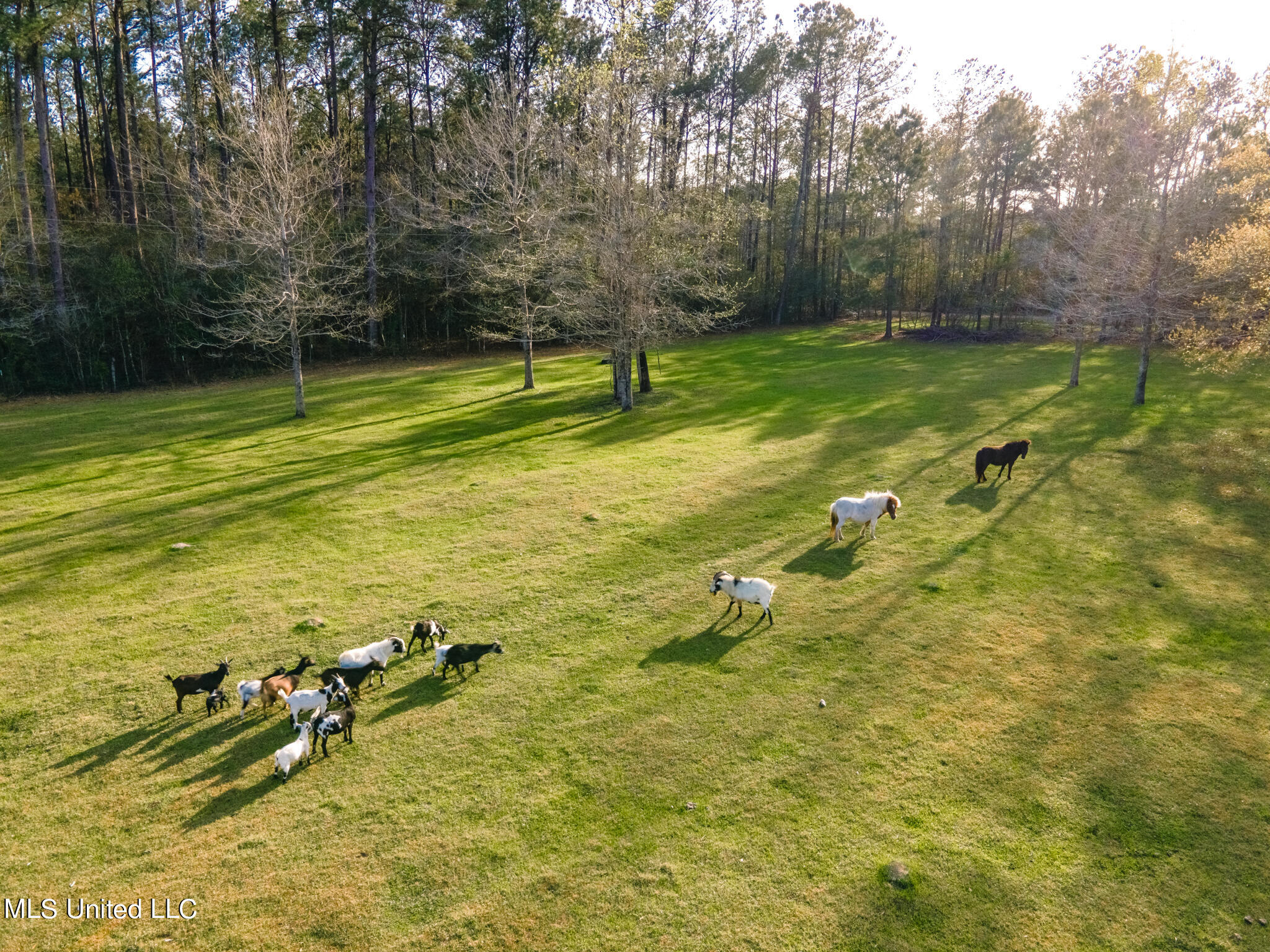 18140 Doc Lizana Road Gulfport, MS 39503 - Photo 7 of 9 DJI_0196