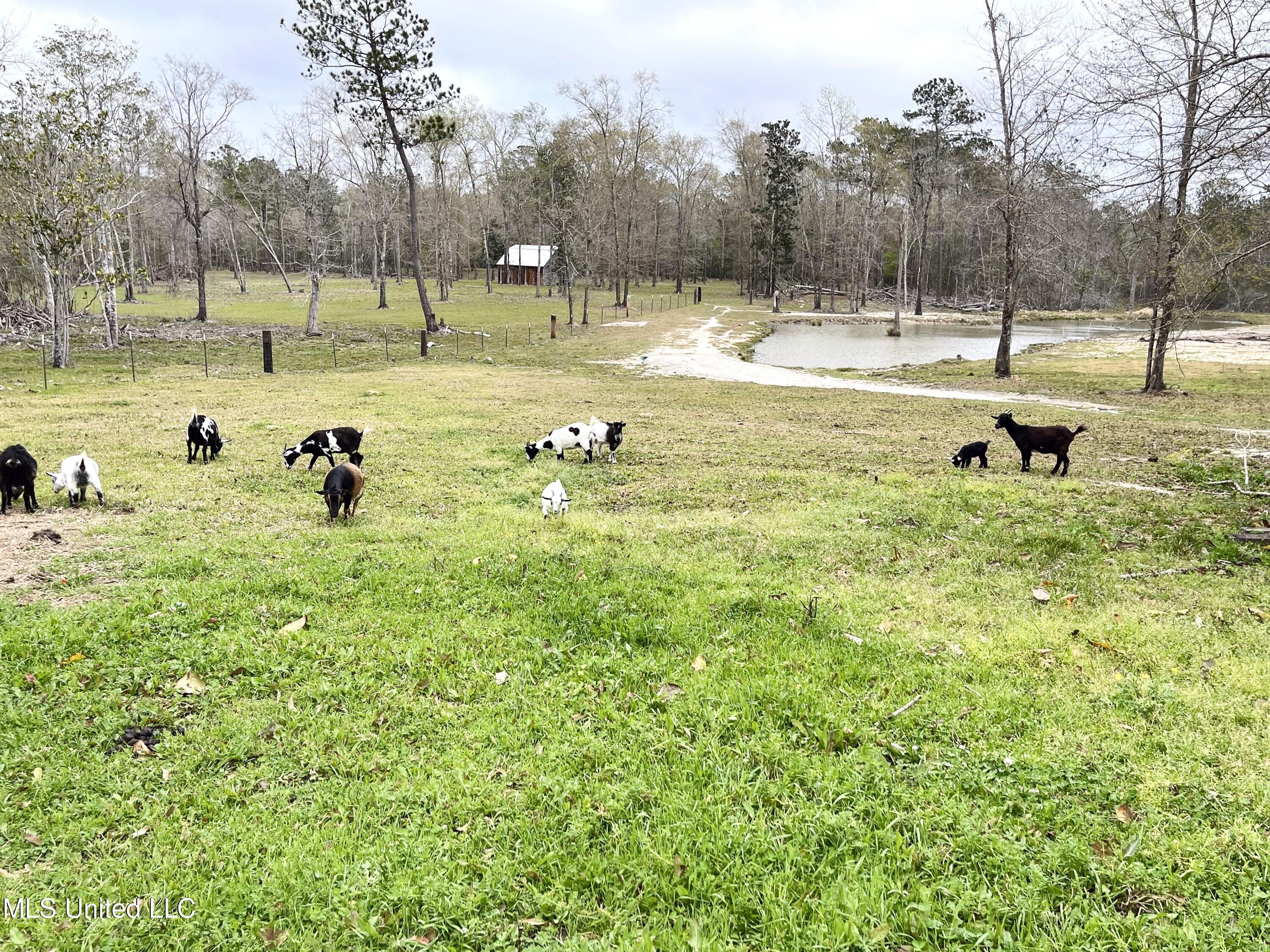 18140 Doc Lizana Road Gulfport, MS 39503 - Photo 9 of 9 IMG_3969