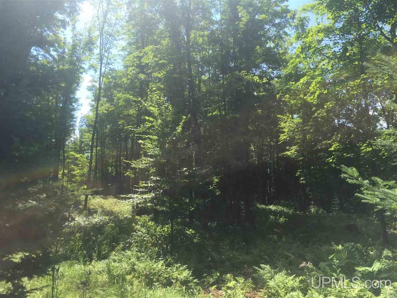 Tbd Elm Road, Unit PARCEL 2 Republic, MI 49879 - Photo 3 of 14 Gallery Image 3