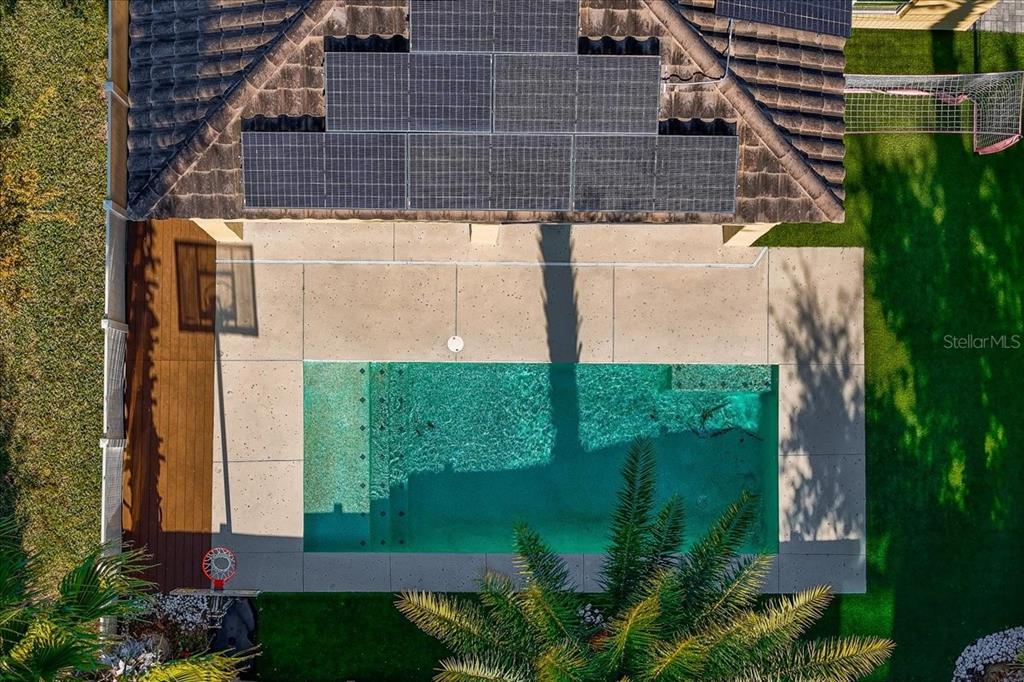 8746 Crescendo Avenue Windermere, FL 34786 - Photo 54 of 56 a view of a backyard with plants