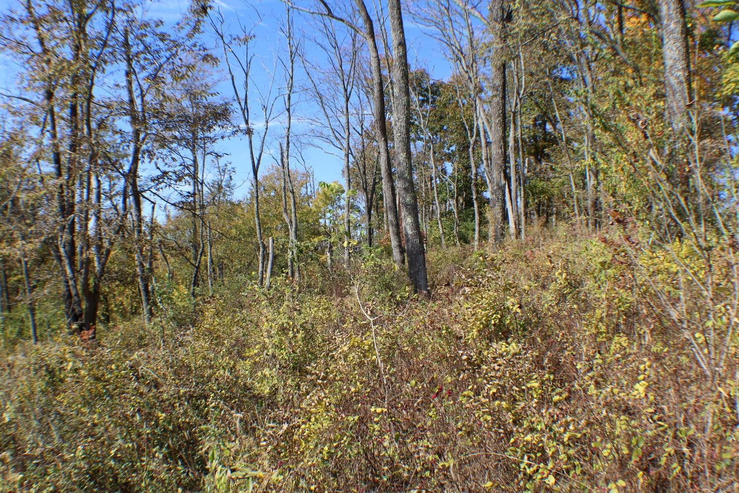 0 North Landing Road Rising Sun, IN 47040 - Photo 15 of 21