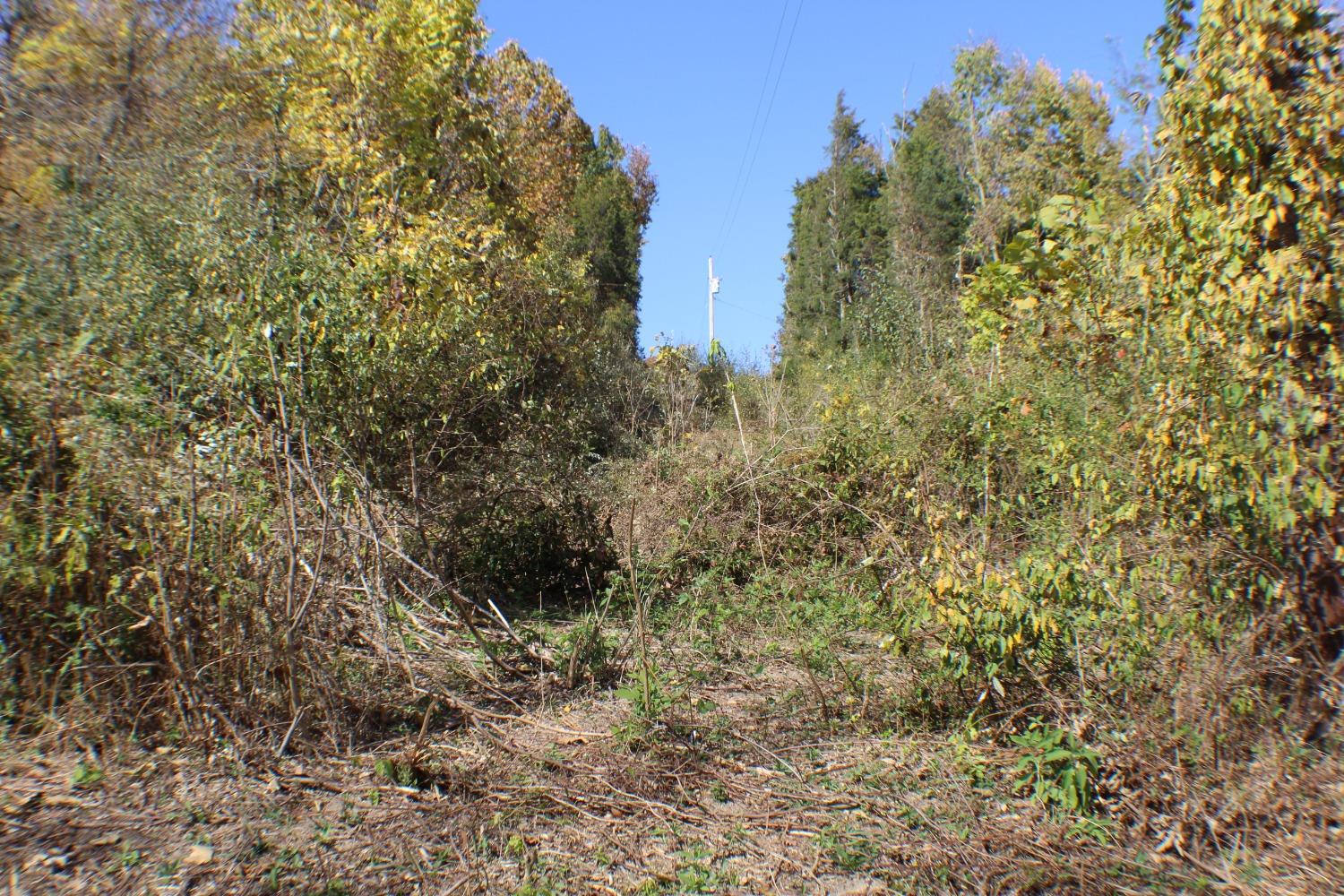 0 North Landing Road Rising Sun, IN 47040 - Photo 21 of 21