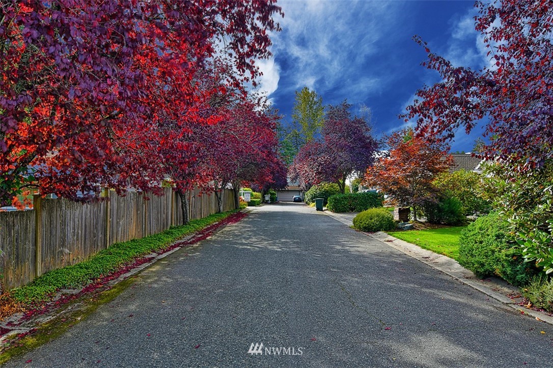 8506 218th Street Southwest Edmonds, WA 98026 - Photo 17 of 19 Gallery Image 17
