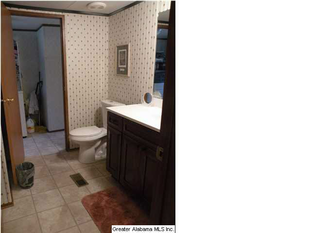 445 Reed Road Ashville, AL 35953 - Photo 10 of 17