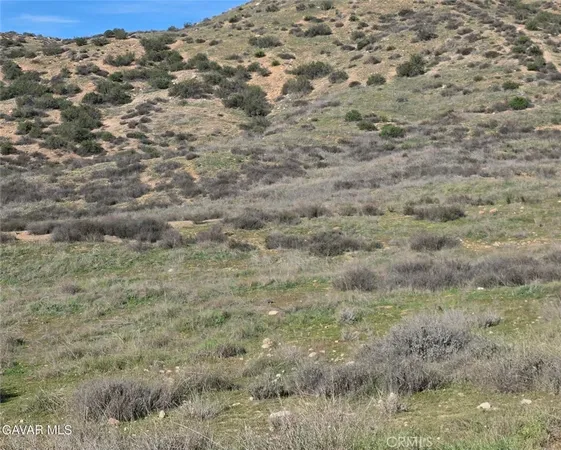 $70,000 | 0 Desert Springs Road, Palmdale, CA 93551