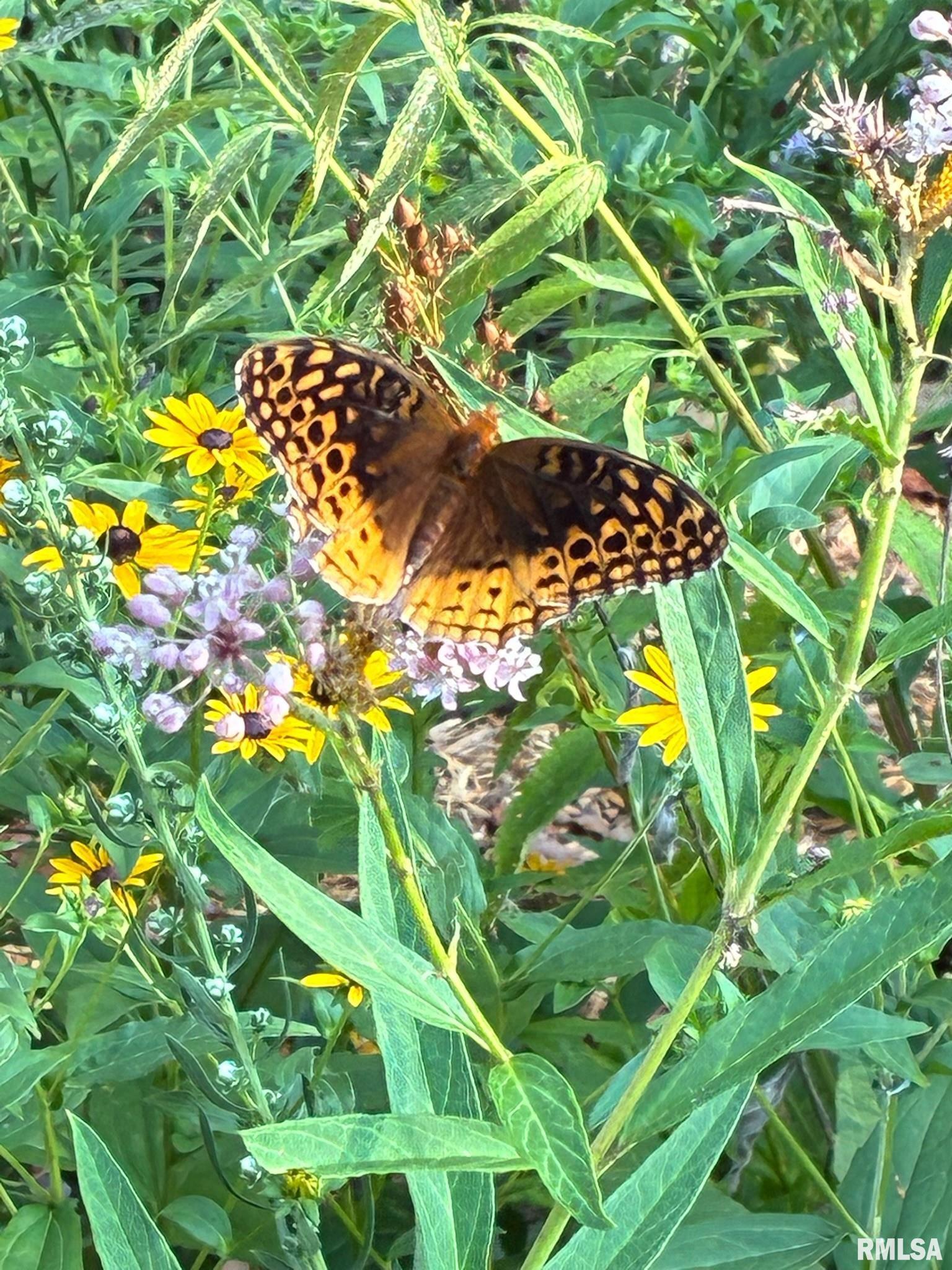 104 North Rod Lane Carbondale, IL 62901 - Photo 4 of 46