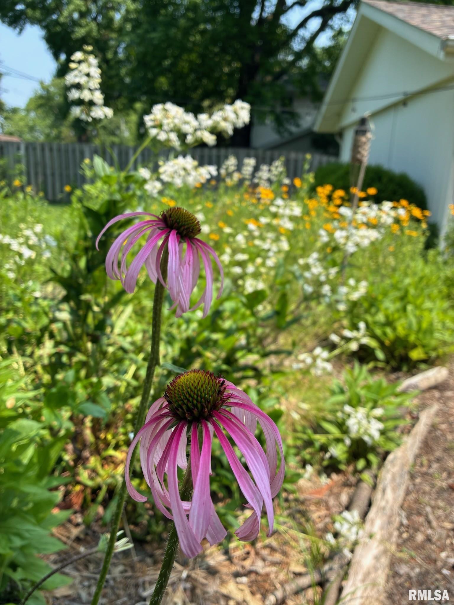 104 North Rod Lane Carbondale, IL 62901 - Photo 5 of 46
