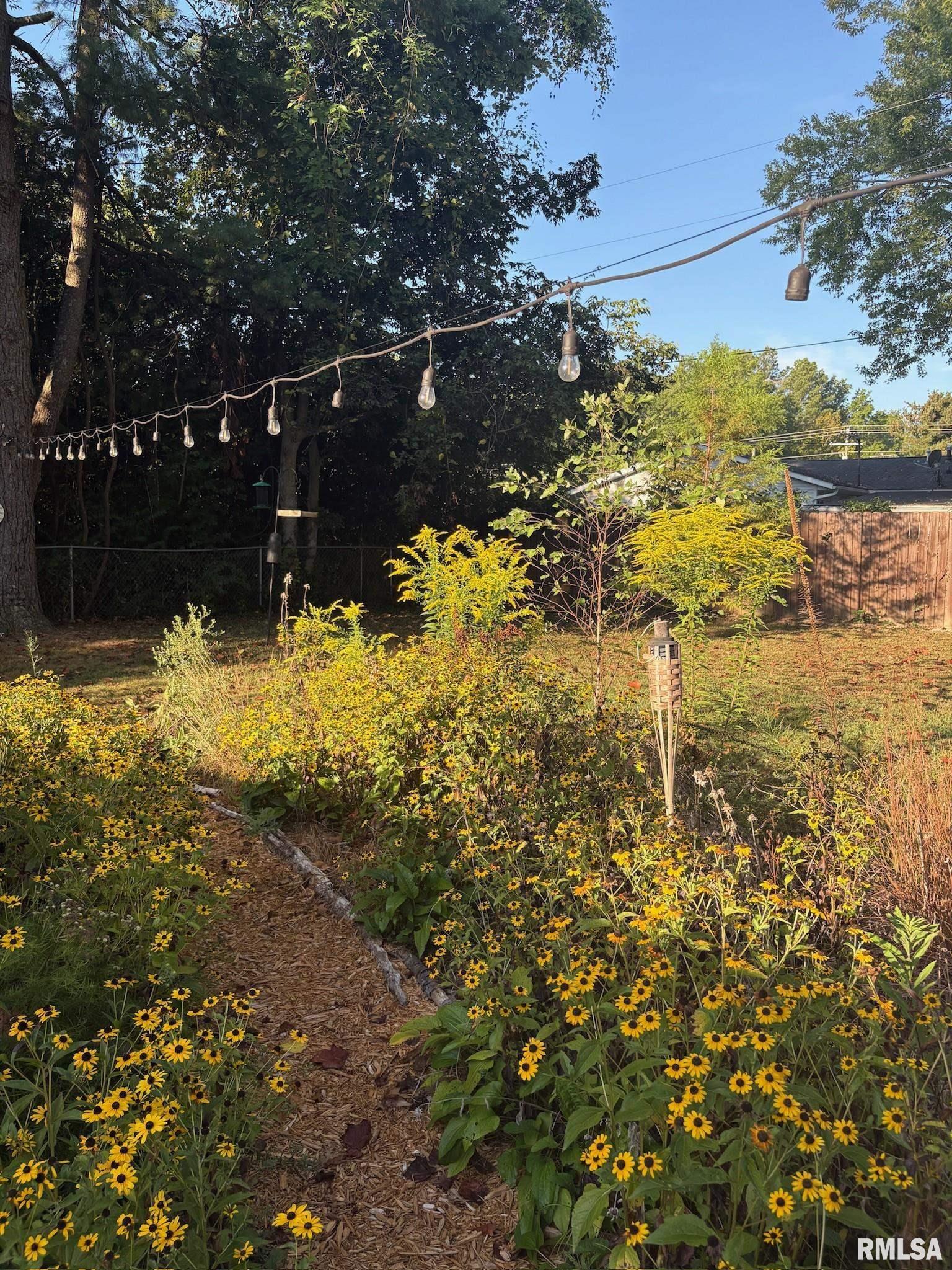 104 North Rod Lane Carbondale, IL 62901 - Photo 6 of 46