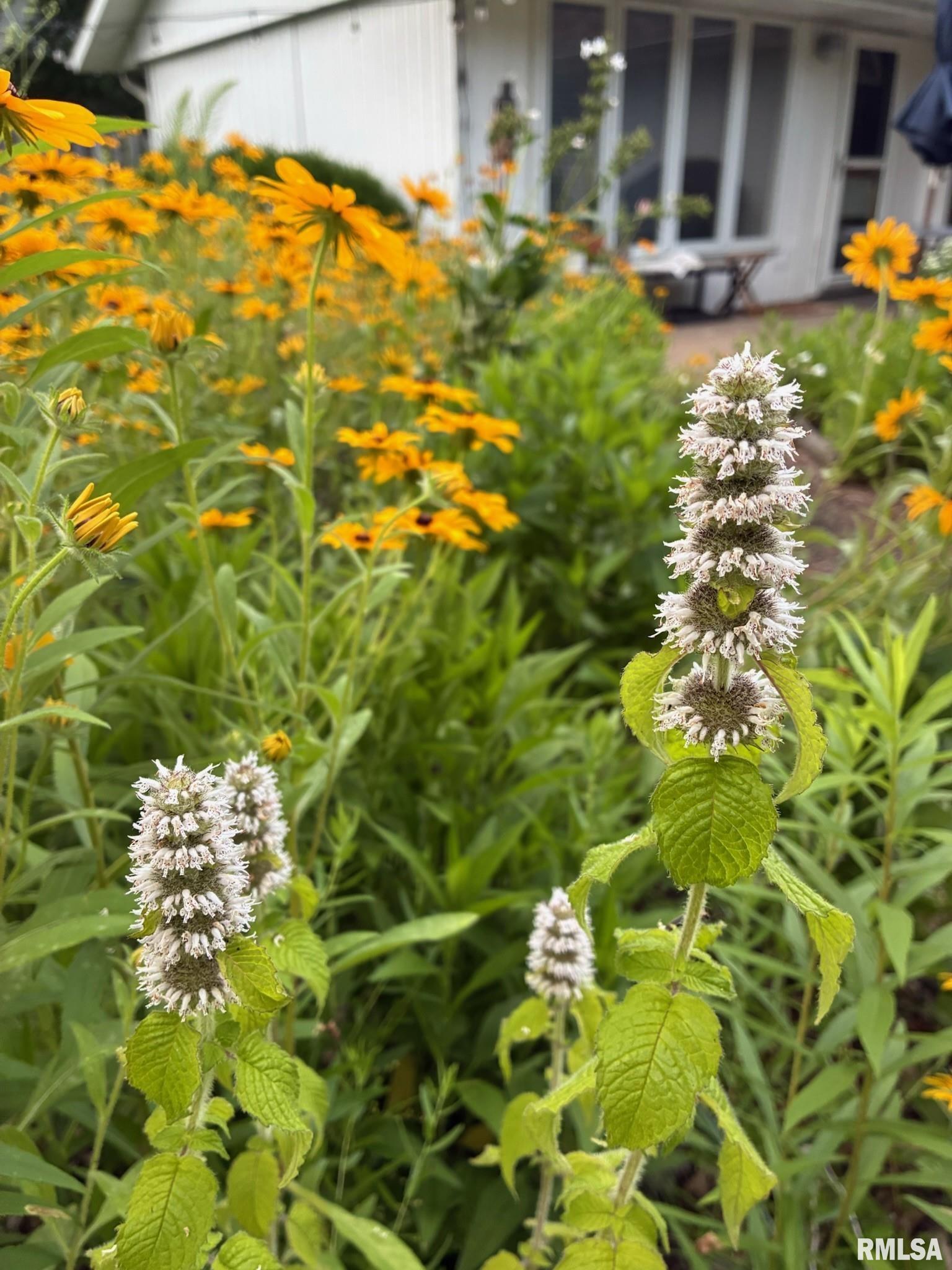 104 North Rod Lane Carbondale, IL 62901 - Photo 7 of 46