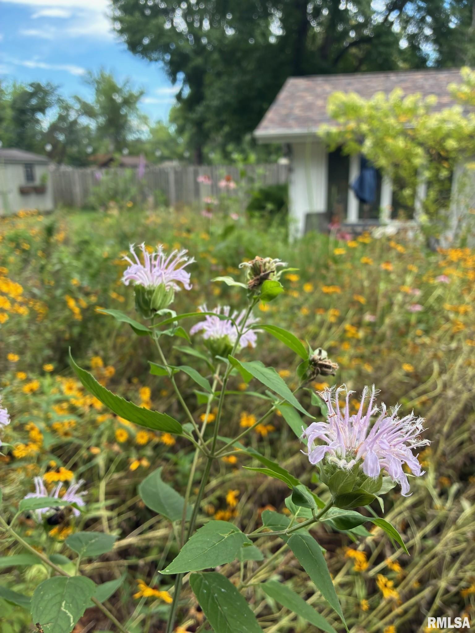 104 North Rod Lane Carbondale, IL 62901 - Photo 10 of 46