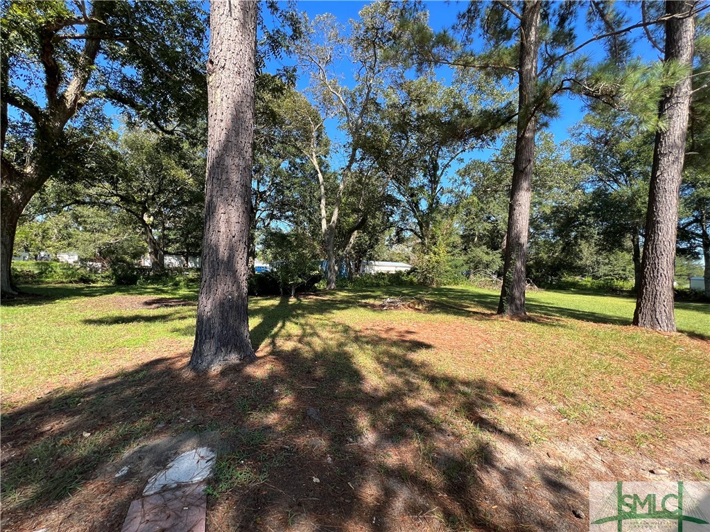 409 Hummingbird Lane Springfield, GA 31329 - Photo 21 of 21