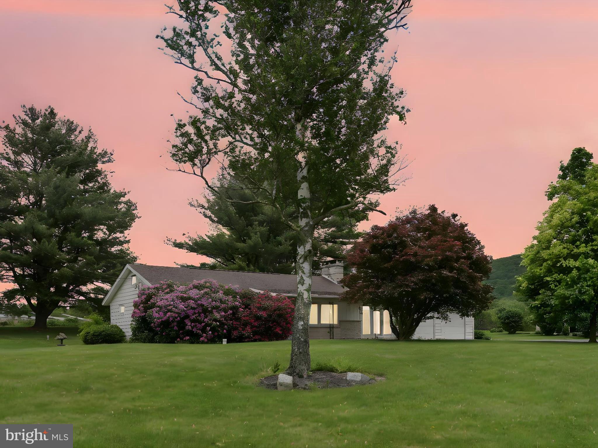 858 Hill Road Ashland, PA 17921 - Photo 2 of 41 a garden with trees in the background