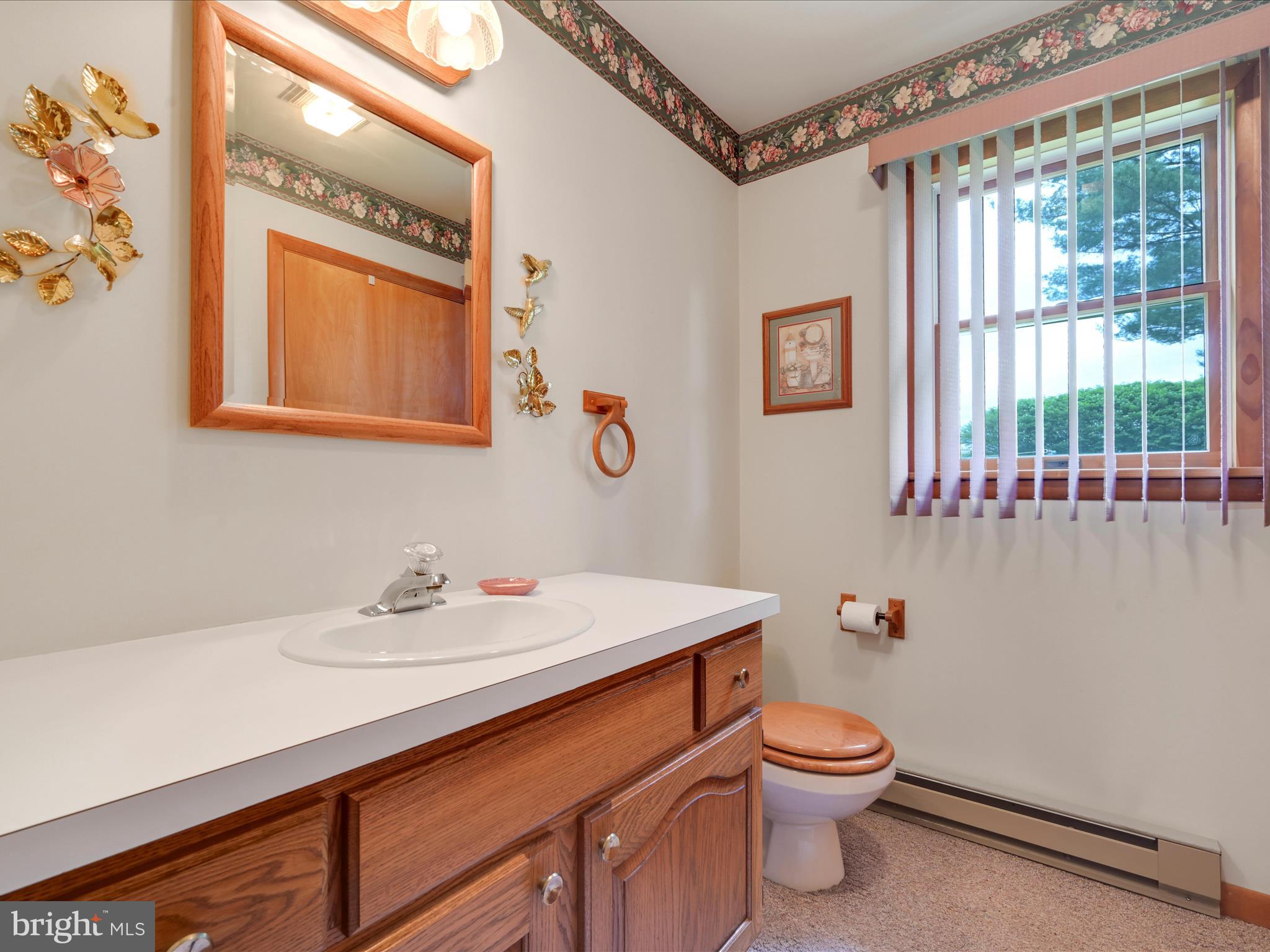 858 Hill Road Ashland, PA 17921 - Photo 21 of 41 a bathroom with a toilet a sink and a mirror