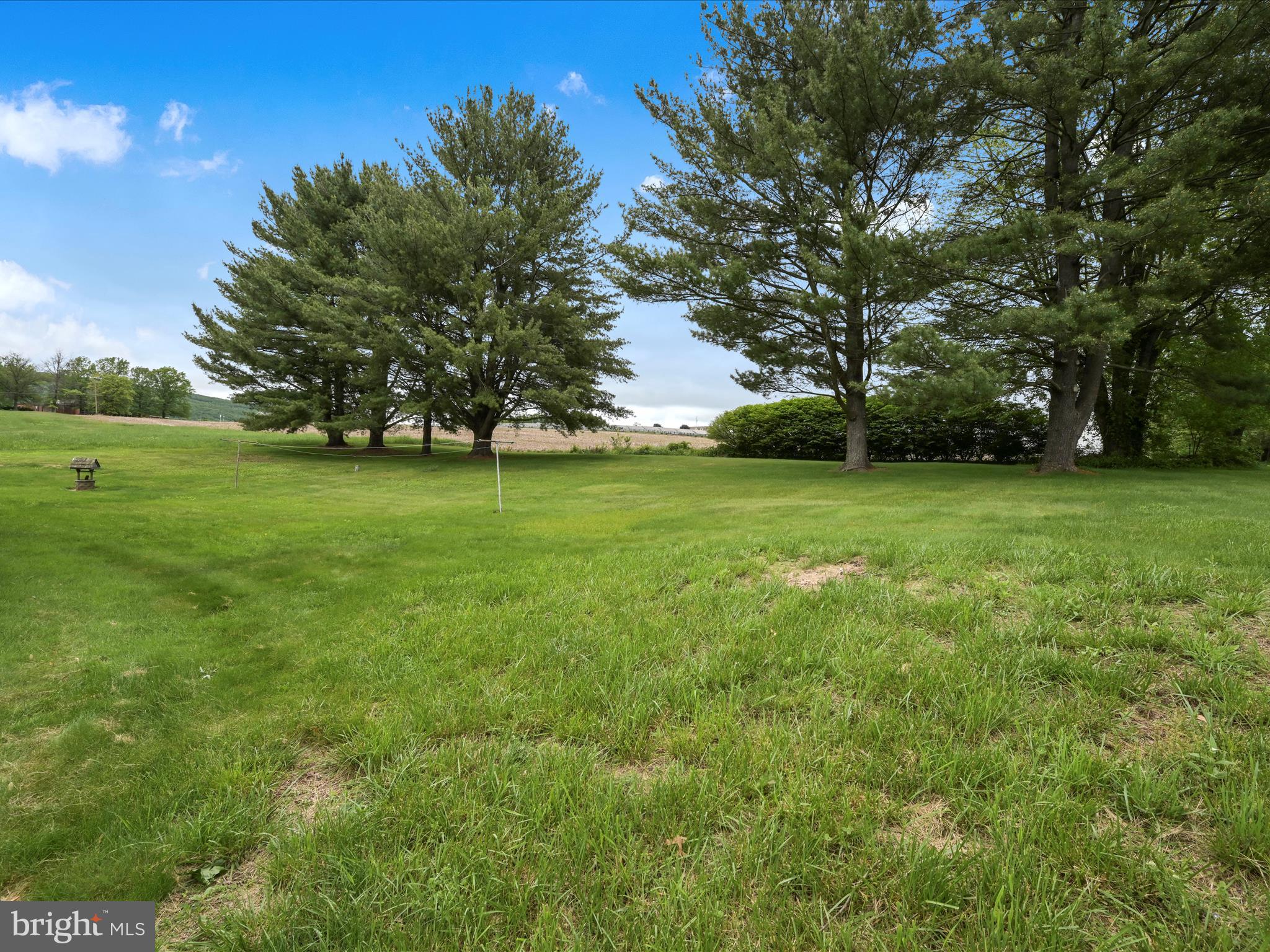 858 Hill Road Ashland, PA 17921 - Photo 26 of 41 a view of a grassy field with trees