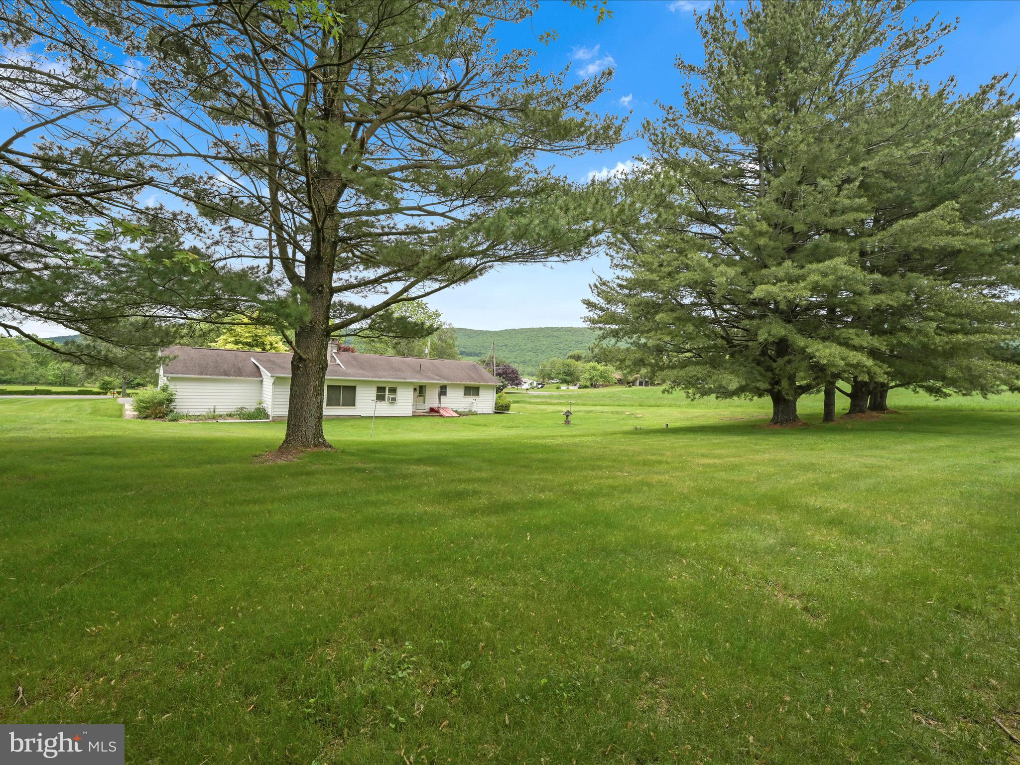 858 Hill Road Ashland, PA 17921 - Photo 28 of 41 a green field with lots of trees