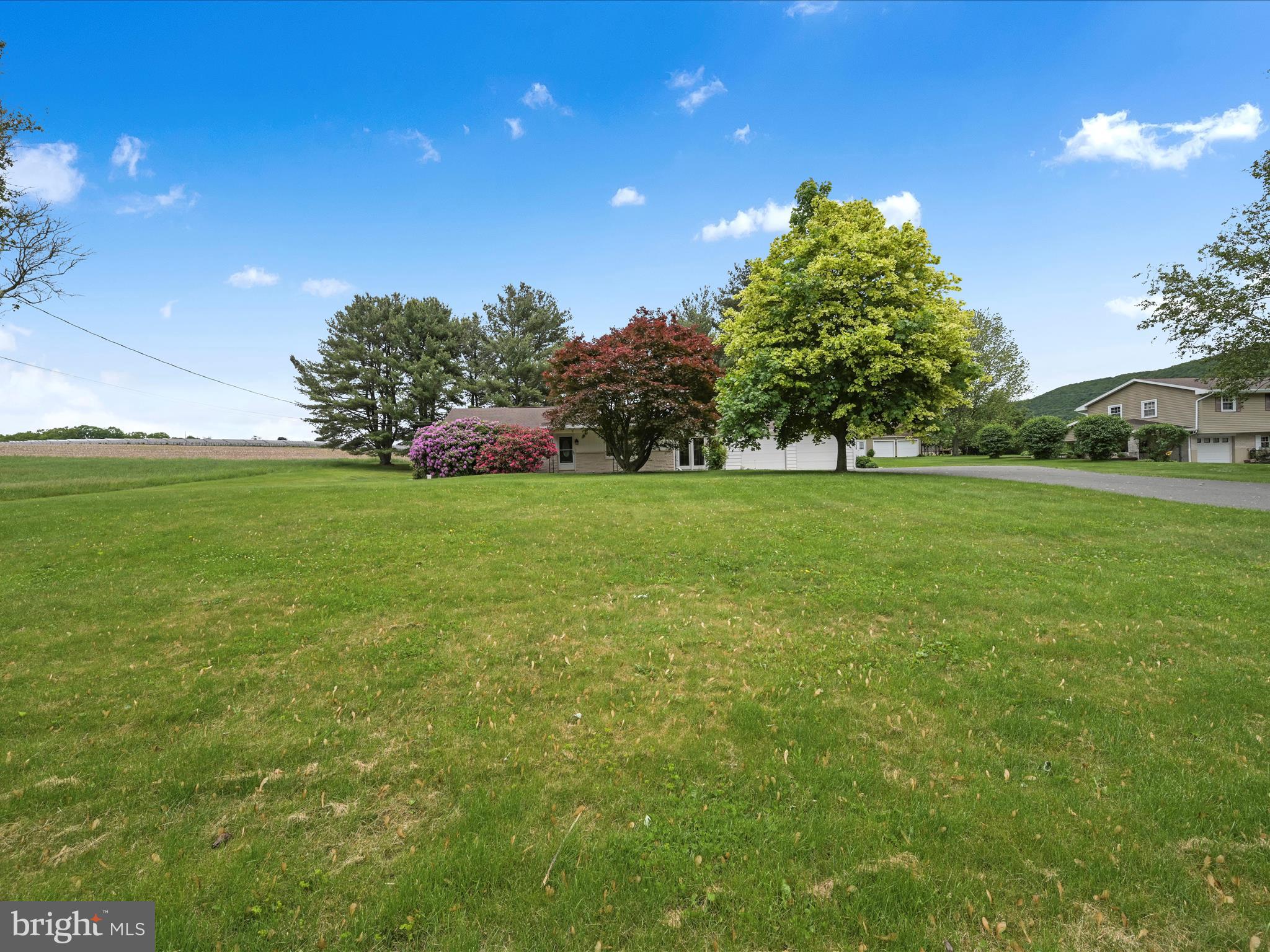 858 Hill Road Ashland, PA 17921 - Photo 3 of 41 a view of a big yard with a house in the background