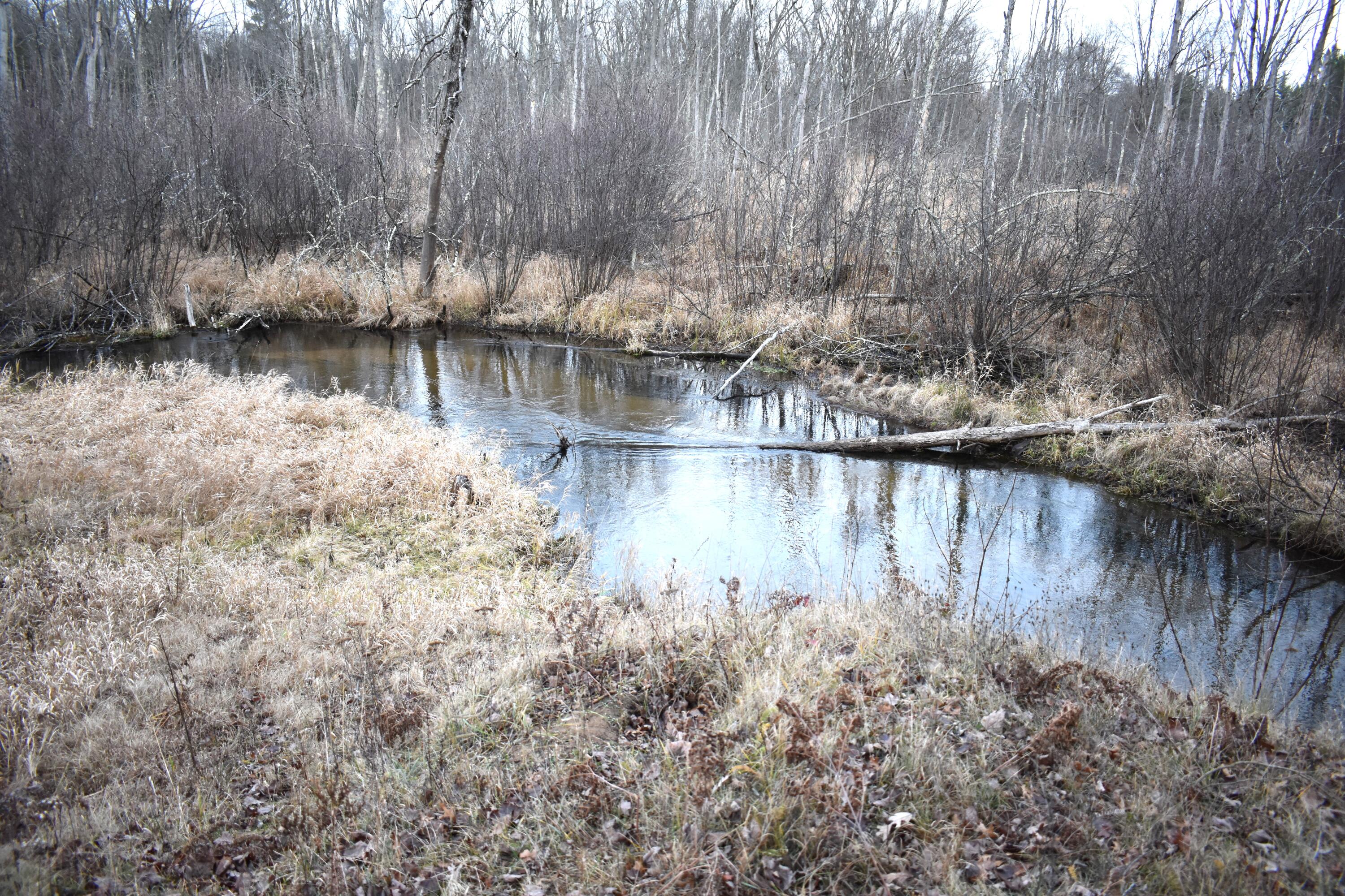 646 3 Mile Road Luther, MI 49656 - Photo 1 of 8 DSC_0741