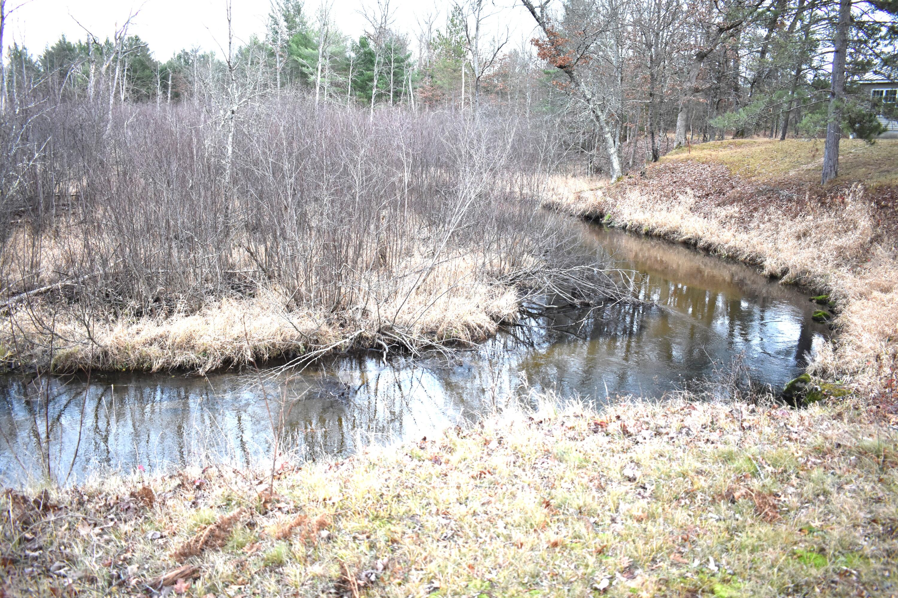 646 3 Mile Road Luther, MI 49656 - Photo 2 of 8 DSC_0740