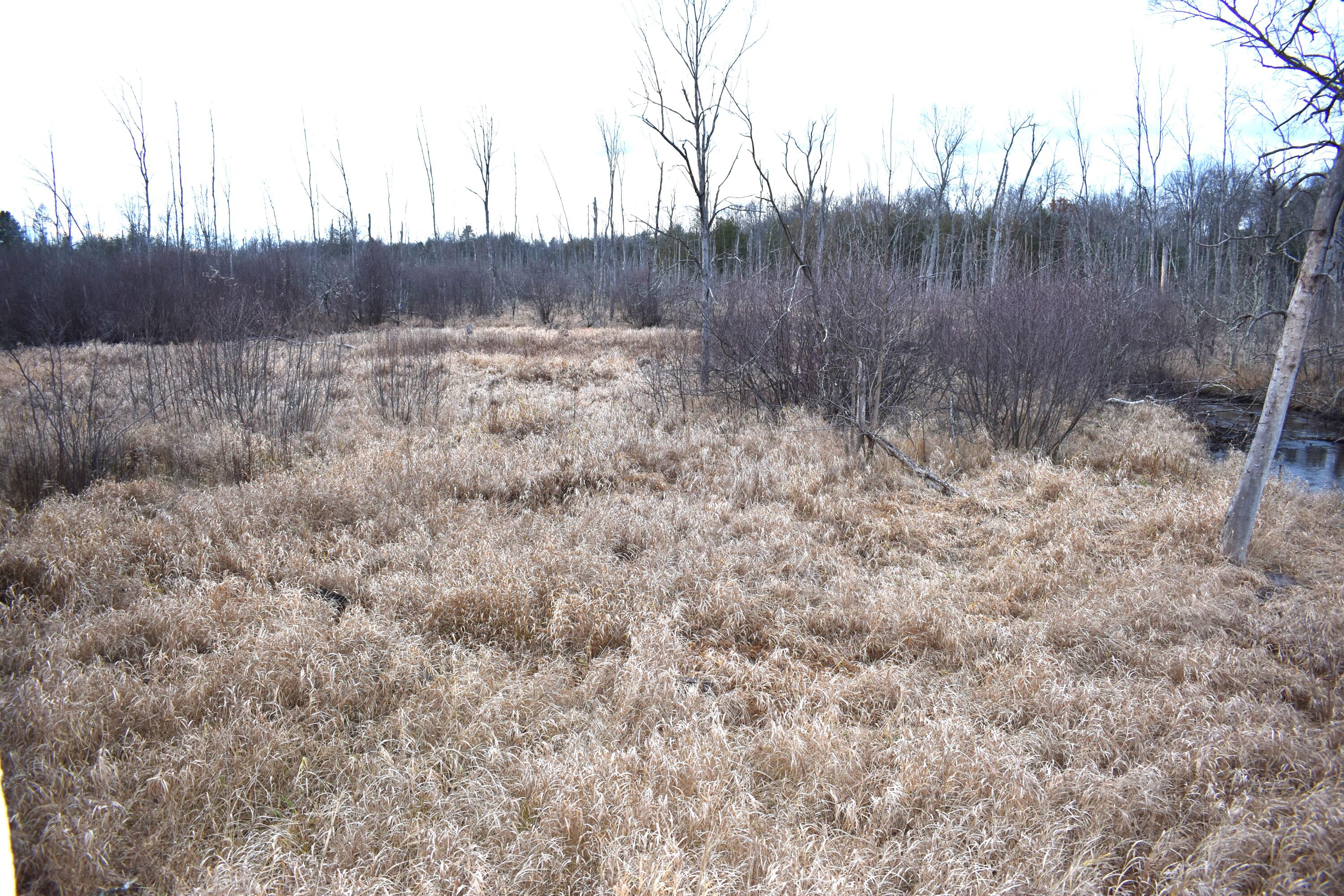 646 3 Mile Road Luther, MI 49656 - Photo 4 of 8 DSC_0743